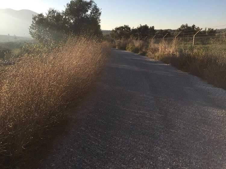 Land For Sale in Izmir - Green Location - Road access