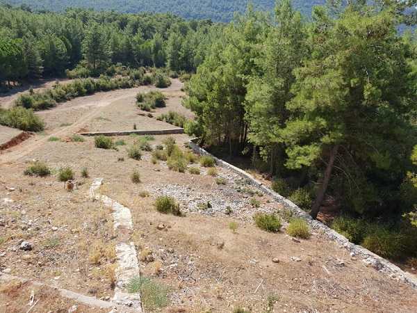 Ovacik Land Plot - Forest Setting - Generously sized plots