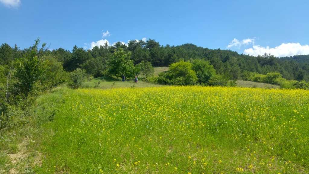 Large Land Plot In Bolu - Countryside location