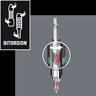 BiTorsion